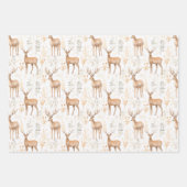 Feuille De Papier Cadeau Set of 3 Country Whimsical Woodsy (Devant 3)