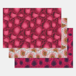 Feuille De Papier Cadeau Set, pavots, motif floral, fleurs, rose, rouge