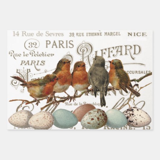 Feuille De Papier Cadeau Set Postmark européen Robin French Script Nest Egg (Devant 2)