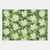 Feuille De Papier Cadeau Shamrock Meadow 3 (Devant 3)