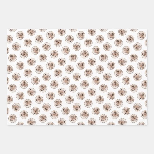 Feuille De Papier Cadeau Shetland Sheepdog Puppy Peinture Sheltie Chien Art (Devant 2)