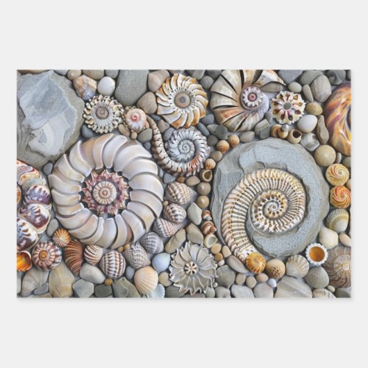 Feuille De Papier Cadeau Shore Shore (Devant 2)
