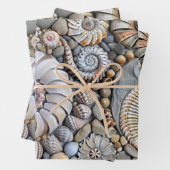 Feuille De Papier Cadeau Shore Shore (En situation)