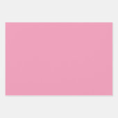 Feuille De Papier Cadeau SHRIMPLEMENT Belle Nursery Motif rose Turquoise (Devant 3)