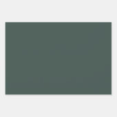 Feuille De Papier Cadeau Silencieux Oie Lumière Noël Drôle Canard Lumières (Devant 3)