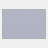 Feuille De Papier Cadeau Simple Elegant Gift Wrap - Stylish Modern (Devant 2)