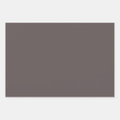 Feuille De Papier Cadeau Simple Elegant Gift Wrap - Stylish Modern (Devant)