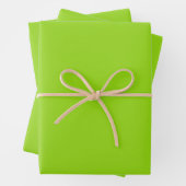 Feuille De Papier Cadeau Simple vert uni (En situation)