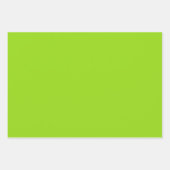 Feuille De Papier Cadeau Simple vert uni (Devant)