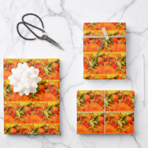 Feuille De Papier Cadeau Soft Orange Fruit Aesthétique