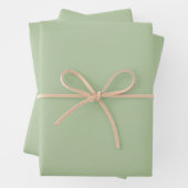 Feuille De Papier Cadeau Solid Jade Green Celadon (En situation)