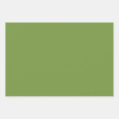 Feuille De Papier Cadeau Solid pepper grass green rustic (Devant 2)