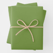Feuille De Papier Cadeau Solid pepper grass green rustic (En situation)