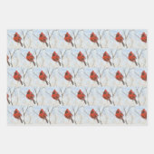 Feuille De Papier Cadeau Songbirds (Devant)