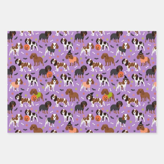 Feuille De Papier Cadeau Spaniel (Devant 3)