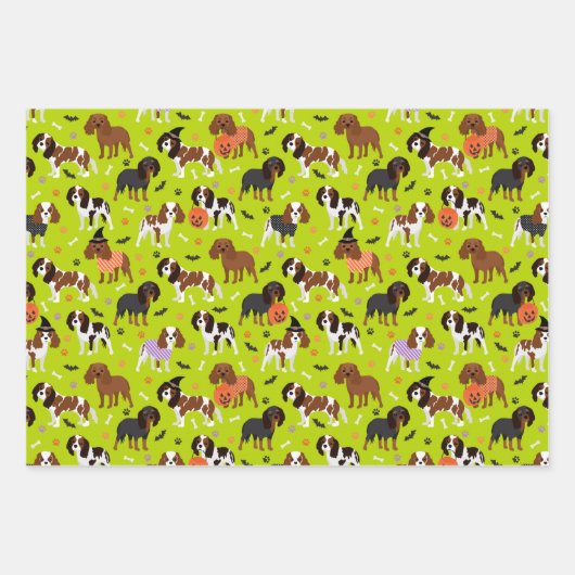 Feuille De Papier Cadeau Spaniel (Devant 2)