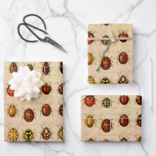 Feuille De Papier Cadeau Spécimen de coccinelle vintage Motif Insecte antiq
