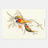 Feuille De Papier Cadeau Splendide Grass-Parakeet, Cadeau (Devant)
