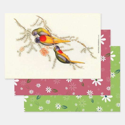 Feuille De Papier Cadeau Splendide Grass-Parakeet, Cadeau (Lot)