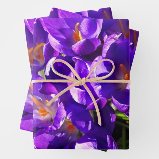 FEUILLE DE PAPIER CADEAU SPRING CROCUS (En situation)