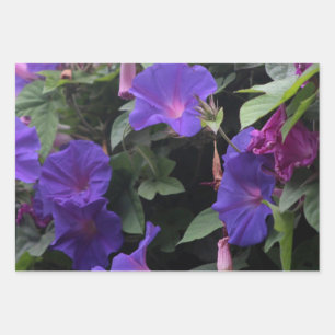 Feuille De Papier Cadeau Spring Morning Glories en bleu