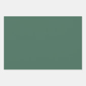 Feuille De Papier Cadeau Spruce Wrapping Paper Flat Sheet Set of 3 (Devant 3)