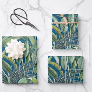 Feuille De Papier Cadeau Strelitzia, bananier de la jungle tropicale verte