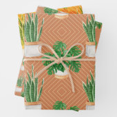 Feuille De Papier Cadeau Succulent (En situation)