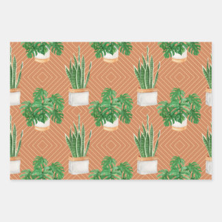 Feuille De Papier Cadeau Succulent