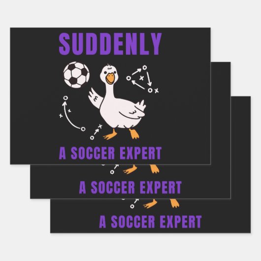 Feuille De Papier Cadeau Suddenly a soccer expert (Lot)