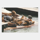 Feuille De Papier Cadeau Sunning Lions à San Francisco (Devant 2)