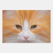 Feuille De Papier Cadeau Tabby Chat Orange Blanc Cute Fluffy Belle (Devant)