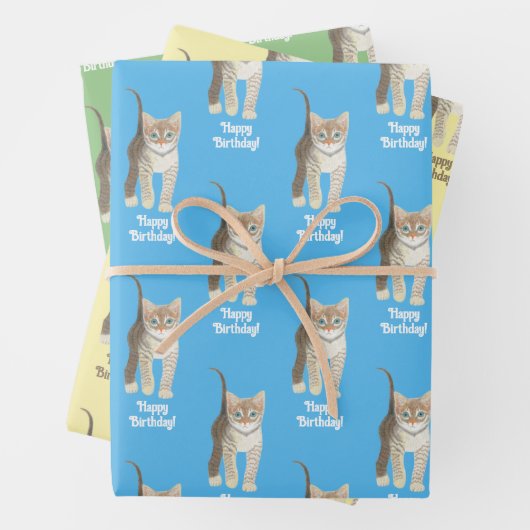 Feuille De Papier Cadeau Tabby Kitten Wrapping Paper Sheets Personalize (En situation)