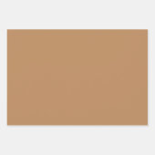 Feuille De Papier Cadeau Taupe Brown Cerf Tan Nuances 3 Tons (Devant 2)