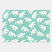 Feuille De Papier Cadeau Teal Winter Christmas Theme Patterned Gift (Devant 2)