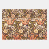 Feuille De Papier Cadeau Teasel, Emelia et William Morris (Devant 3)