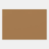 Feuille De Papier Cadeau Teintes Marron Cendre de Coco Brut 3 Tons (Devant 3)