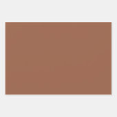 Feuille De Papier Cadeau Teintes Marron Cendre de Coco Brut 3 Tons (Devant)