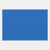 Feuille De Papier Cadeau Tempête de bleuets du Texas - Ciel bleu-vert (Devant 3)