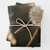 Feuille De Papier Cadeau Tête de graines de Dandelion en tons Brown (En situation)