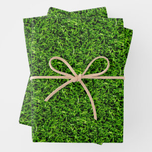 Feuille De Papier Cadeau Texture réaliste de l'herbe photo Funny vert brill