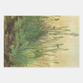 Feuille De Papier Cadeau The Large (Great) Piece of Turf by Albrecht Durer (Devant 2)