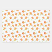 Feuille De Papier Cadeau Tiger Lily Abstrait floral chic chic chic (Devant)