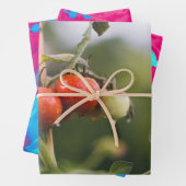 Feuille De Papier Cadeau tomates mouillées sur la vigne (En situation)