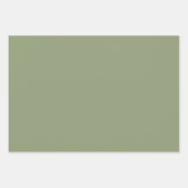 Feuille De Papier Cadeau Tons pastel vert argent rose neutre (Devant 3)