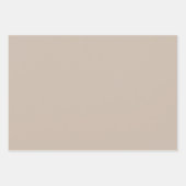 Feuille De Papier Cadeau Tons pastel vert argent rose neutre (Devant 2)