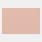 Feuille De Papier Cadeau Tons pastel vert argent rose neutre (Devant)