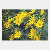 Feuille De Papier Cadeau Topinambour (Devant)