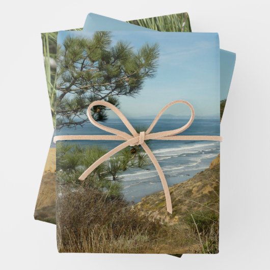 Feuille De Papier Cadeau Torrey Pine and California Coastline Landscape (En situation)