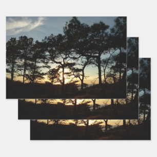 Feuille De Papier Cadeau Torrey Pine Sunset II Californie Paysage